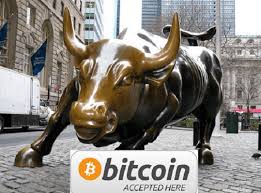 Bitcoin bull