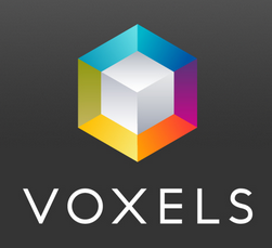 voxels-logo