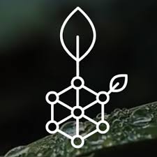 rootstosck