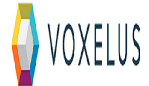 voxelus11
