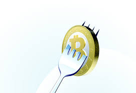 bitcoin fork