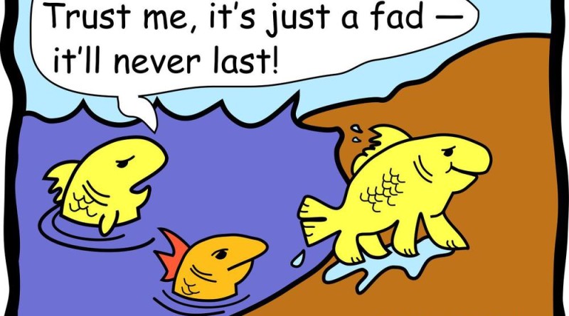 KM-FishCartoon1