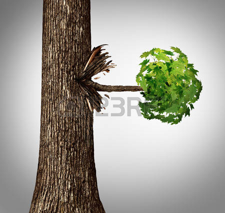 48666916-offshoot-concept-as-a-lateral-move-business-metaphor-as-a-tree-trunk-with-a-sideways-branch-and-leav
