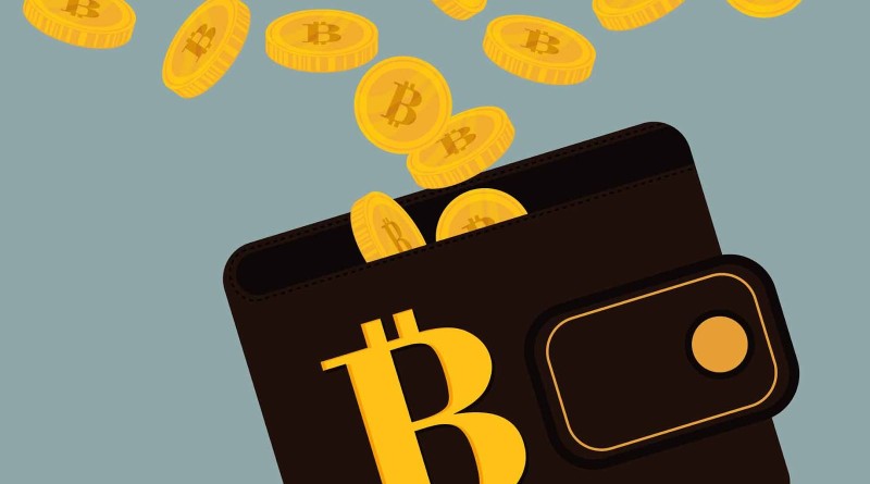 bitcoin-wallet (1)