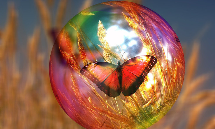 butterfly-bubble