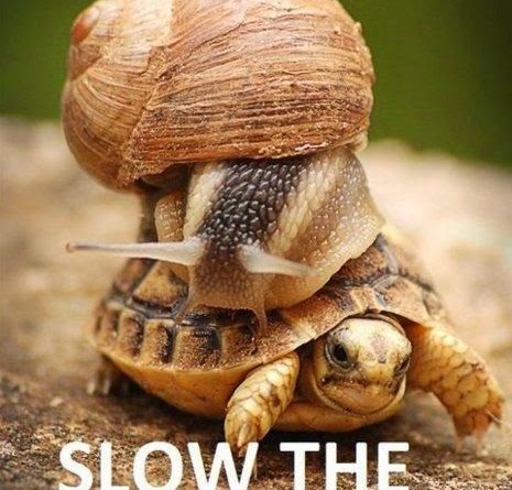 The-long-slow-run