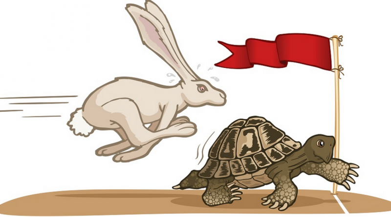 Tortoise-and-the-Hare_jpg_9