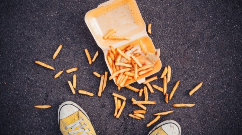 dropped-fries