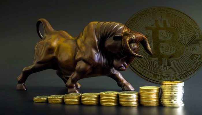 bitcoinbulls-700x400